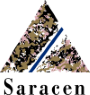 Saracen Mineral Holdings Limited