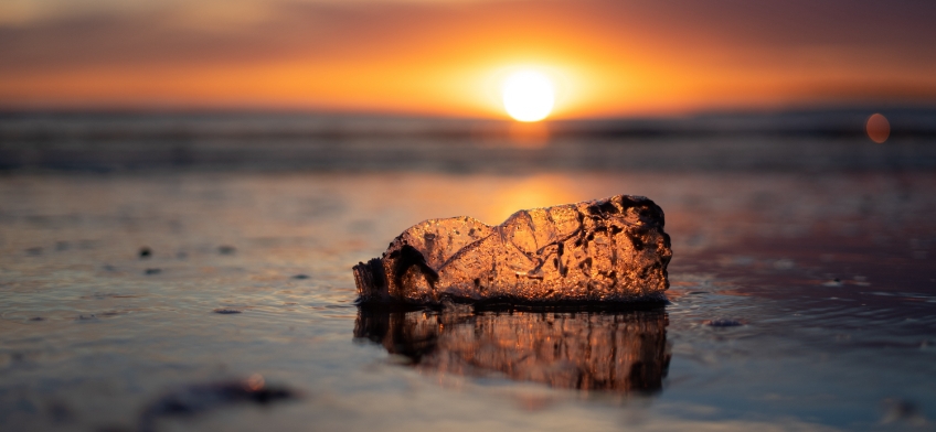 Plastic bottle washed up on a beach image for blog post about sustainable funds tackling plastic pollution