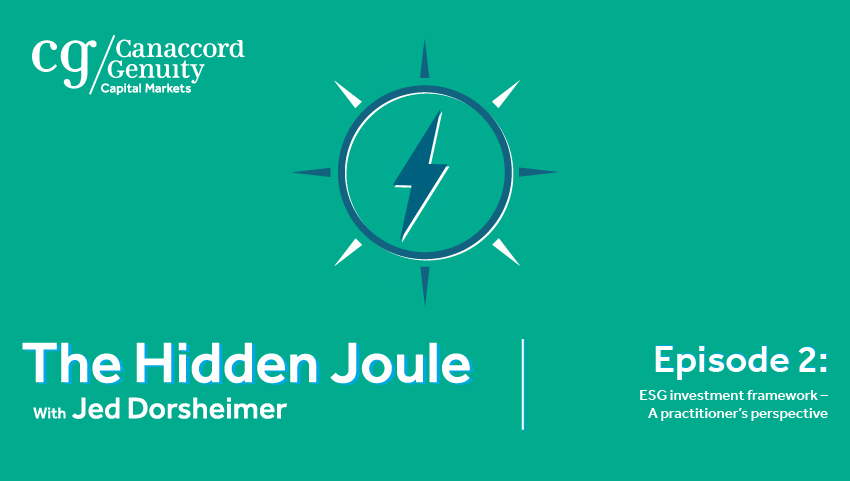 The Hidden Joule | ESG investment framework – a practitioner’s view