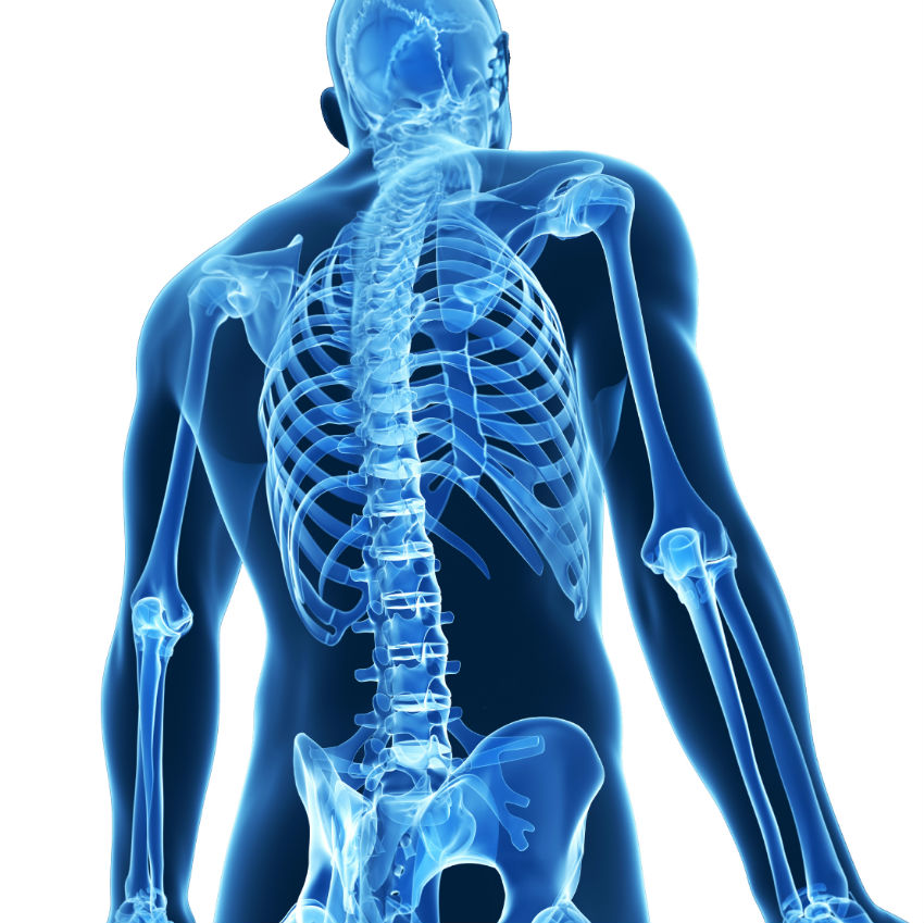 Musculoskeletal Conference