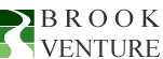 Brook Venture Partners Logo