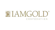 IAMGOLD Corporation - March 2009