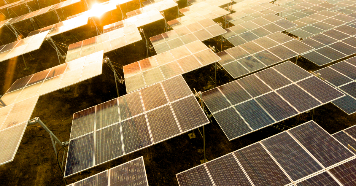 Are there opportunities for investors in renewable energy?