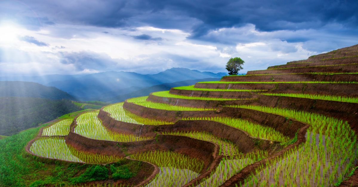 How can investors leverage growth in sustainable food production?